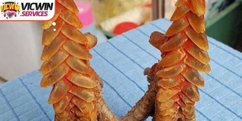 Lý do vì sao thành viên cần phải tiến hành xem vảy khi cược