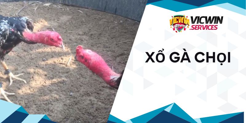 Xổ gà chọi Vicwin